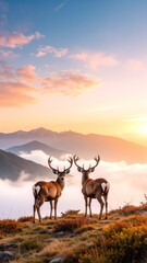 Naklejka premium Two majestic deer stand gracefully atop a rugged mountain peak, their antlers silhouetted against a vibrant sunset sky, surrounded by lush greenery.