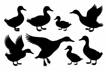 Obraz premium Silhouette illustration of eight ducks in various poses, including standing, swimming, flapping wings, and ducklings.