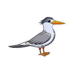 Creative Tern Bird Vector Illustration