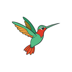 Creative Hummingbird Vector Graphic Style