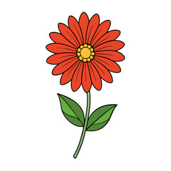 Creative Gaillardia Flower Vector Drawing
