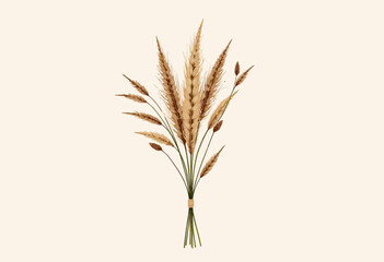 Fototapeta premium Dried pampas grass bouquet on neutral background 