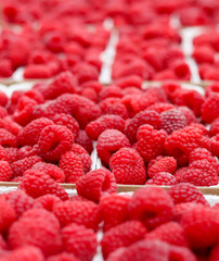 A vibrant, close-up shot of numerous fresh, ripe red raspberries, offering a rich texture and appetizing appeal.