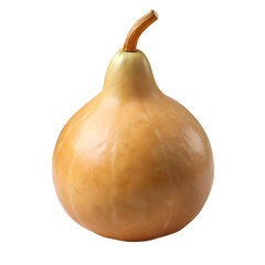 Pale Yellow Gourd, Autumn Harvest, Single Gourd