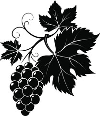 Obraz premium Vibrant vector illustration of a ripe bunch of purple grapes with green leaves on a vine, perfect for food and wine designs