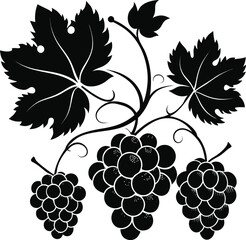 Vibrant grape vector illustration: a sweet fruit bunch on a leafy vine, perfect for wine and nature designs