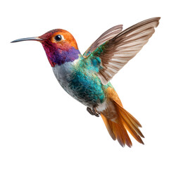 Fototapeta premium A captivating image of a colorful hummingbird gracefully hovering in mid air its iridescent feathers shimmering as it flaps its delicate wings showcasing the beauty and wonder of nature
