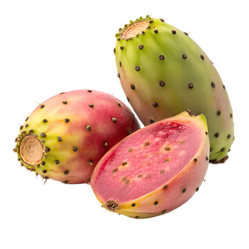 Fresh Prickly Pear Cactus Fruits, Red and Green