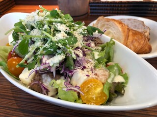 salad with bread