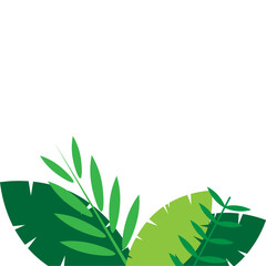 Greenery Tropical Shrubs