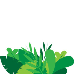 Greenery Tropical Shrubs