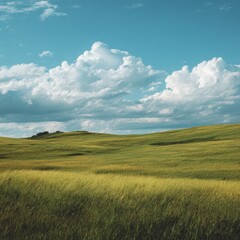 Fototapeta premium Serene Green Fields Under a Blue Sky with Fluffy White Clouds