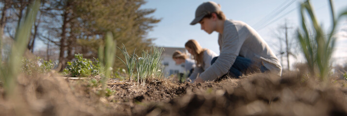 Teens engaged in gardening activities, planting vegetables in a community garden, showcasing teamwork and connection with nature