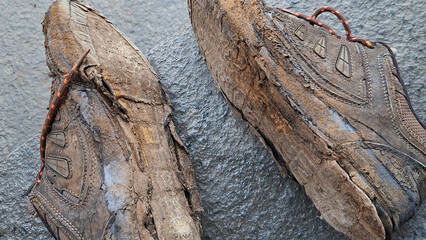 Weathered Journey: Worn Out Hiking Shoes on Textured Pavement