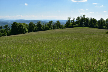 Fototapeta premium Eine Naturwiese mit Ausblick auf den Kanton Aargau, Jurapark Aargau in Biberstein