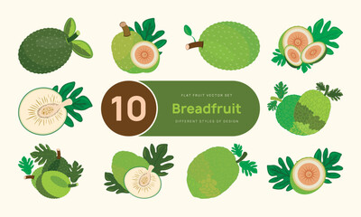 10 Breadfruit Vector Design Set – Whole, Sliced & Tropical Styles