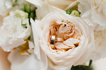 Close Up Of Wedding Rings In A Rose