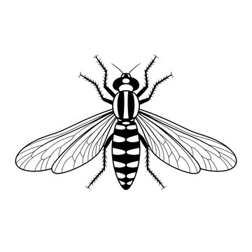 black and white wasp insect clip art preview
