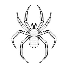 spider on a white background coloring page line art 