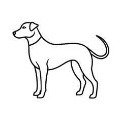 Fototapeta premium vector illustration of a dog