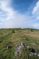 爽やかな朝の高原　霧ヶ峰