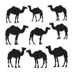 Naklejka premium Collection of black camel silhouettes on a white background isolated on white background