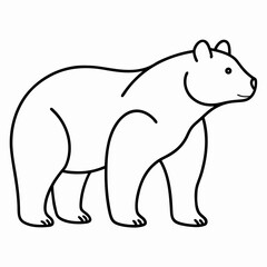 Fototapeta premium polar bear vector illustration