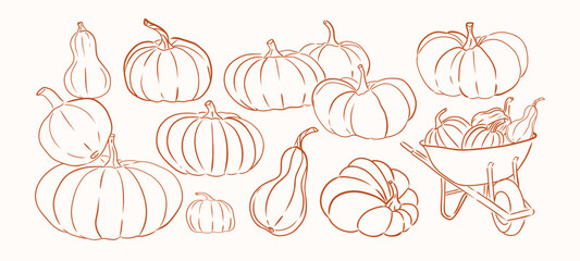 Hand draw pumpkin different set.