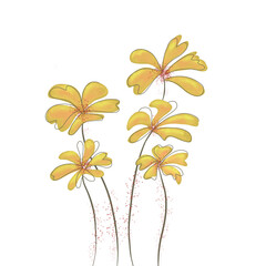 orange flowers on white background