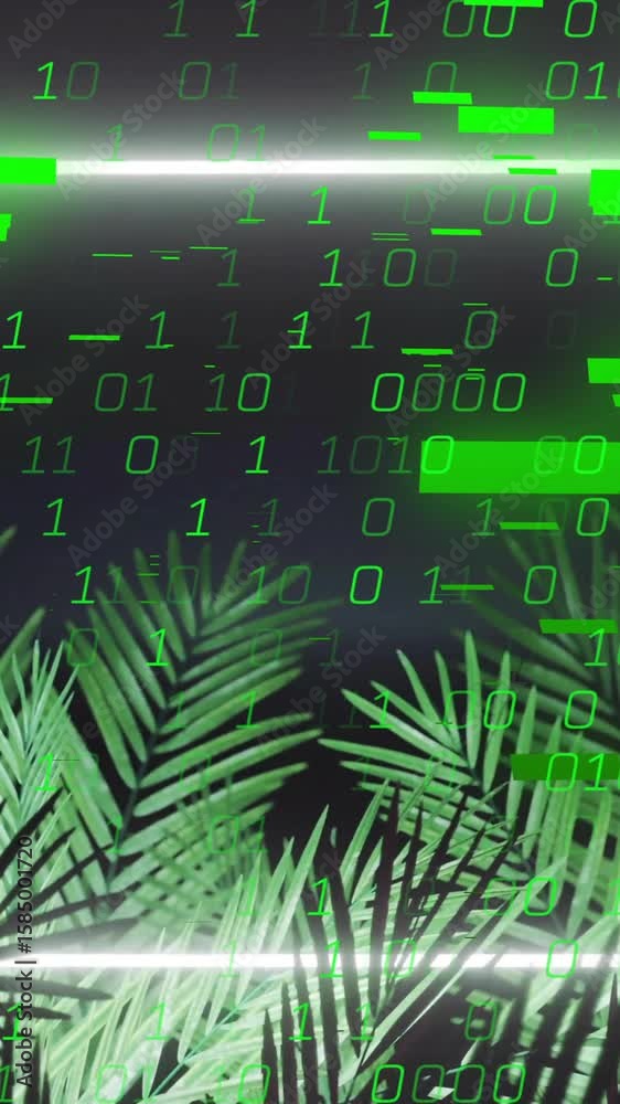 Poster binary code and data processing animation over tropical palm leaves
