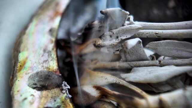 Smoldering white sage in an abalone shell, releasing fragrant smoke for spiritual cleansing and purification