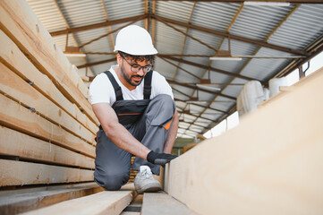 Fototapeta premium Carpenter inspecting wooden planks in lumber warehouse