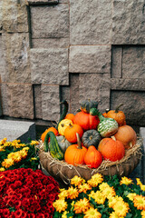 Vibrant autumn display of pumpkins and flowers in midtown Manhat