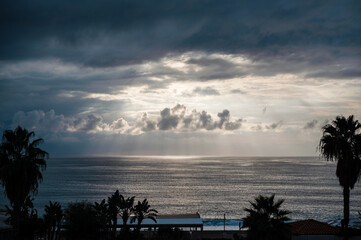Dramatic Seascape with Sunlight and Palm Trees