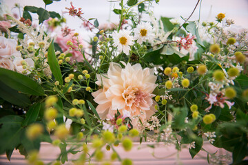 Peach Dahlia Surrounded by Wildflowers and Foliage