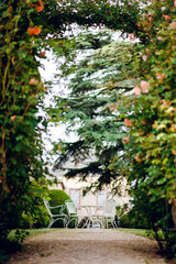 Serene Garden Seating Under Rose Archway