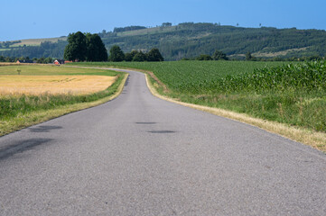 Scenic winding road through lush fields