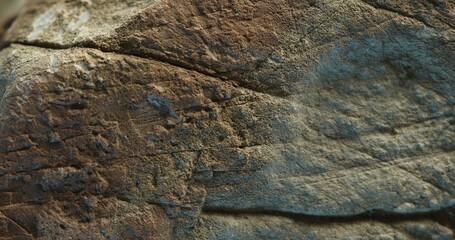 Close-up of mixed surface textures on cracked stone with earthy brown tones