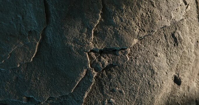 Close-up of fractured rock surface with earthy texture and split center