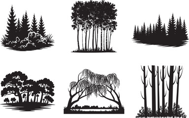 Scenic Forest Landscape Tree Silhouettes