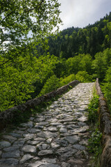 Stone bridge through forest. A serene stone bridge pathway winding through lush greenery. surrounded by trees. Inviting wanderers to explore the beauty of nature.