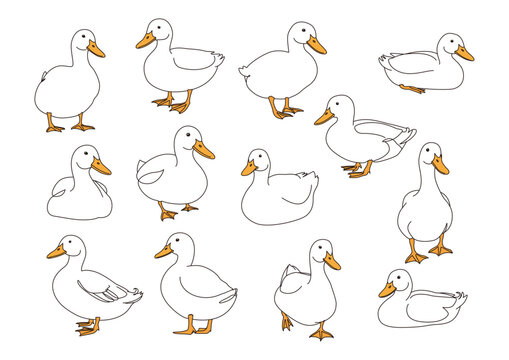 あひる Images – Browse 1,712 Stock Photos, Vectors, and Video