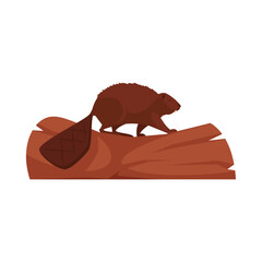 Beaver on a Log: The illustration depicts a beaver perched on a log, highlighting its distinctive features. The animal's rich brown fur, flat tail, and strong teeth are meticulously illustrated.