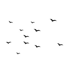 Soaring Silhouettes: A mesmerizing flock of birds gracefully gliding against the vast expanse of sky. A simple black and white silhouette portrays freedom, movement, and the beauty of flight.
