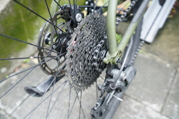 Bicycle: Close-up of Intricate 10-Speed Gear (Mechanical Beauty)