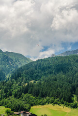 Paraglider Above Alpine Forested Mountains and Clouds on a Bright Summer Day. High quality photo