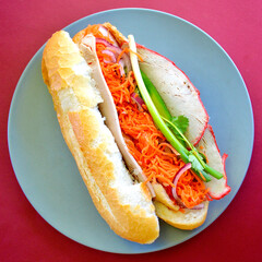 A Vietnamese style roll with salad on a plate. 