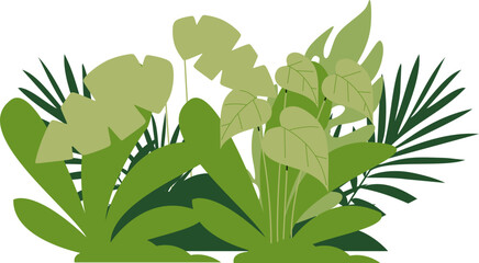 Green Tropical Bushes Illustration