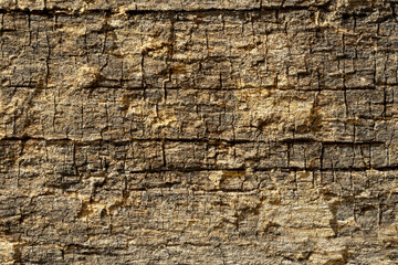 Detailed Close-up of Weathered Wood Texture