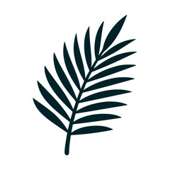 Coconut leaf vector illustration 